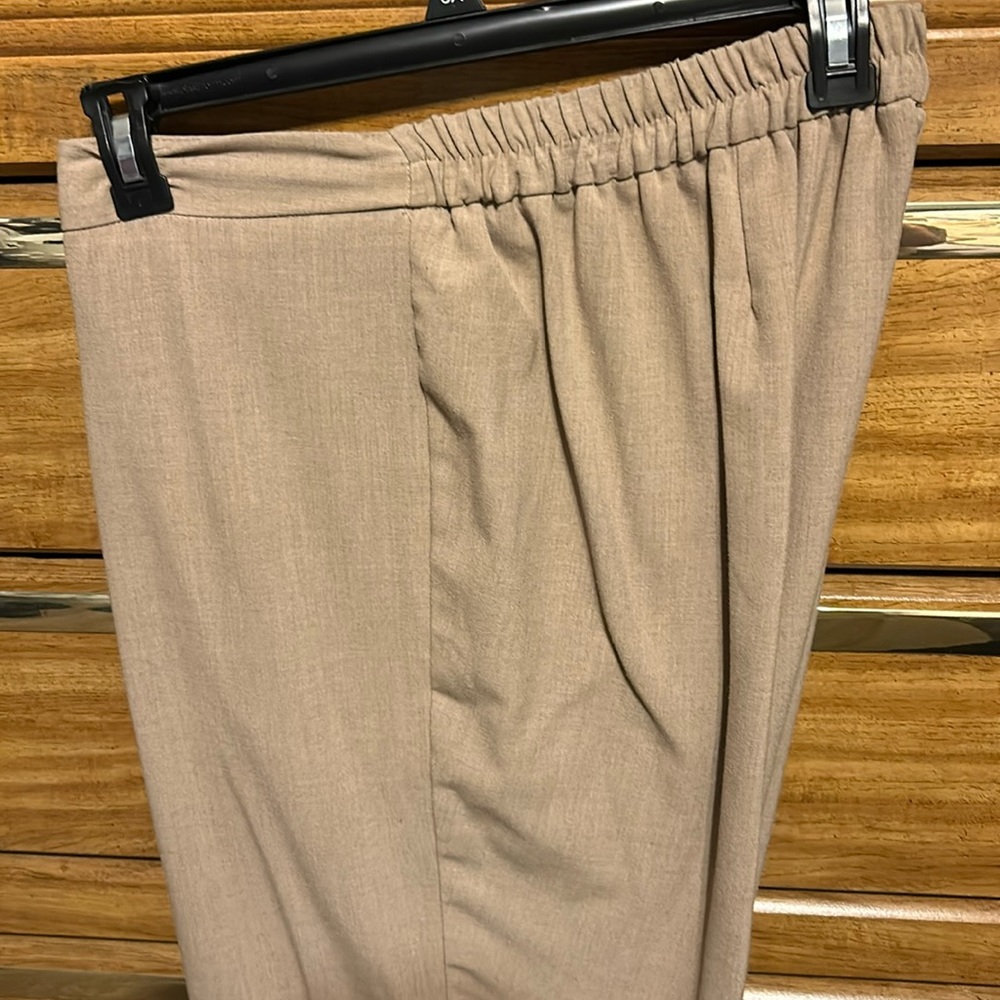 Tan size 22-24 WP / 2XWP Catherine’s Slacks like new